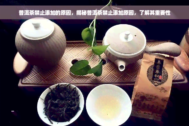 普洱茶禁止添加的原因，揭秘普洱茶禁止添加原因，了解其重要性