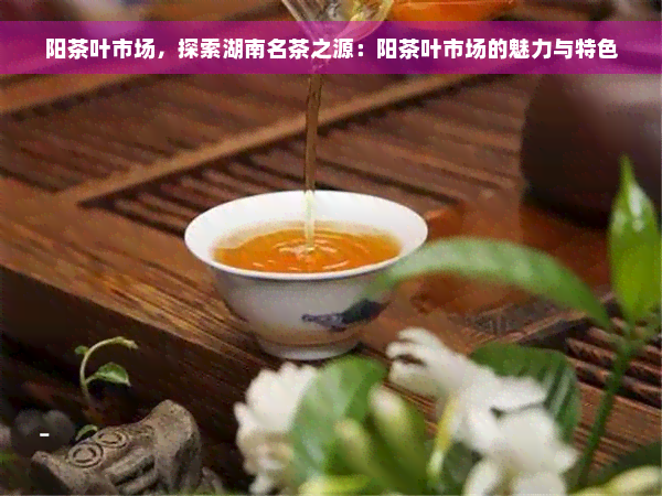 阳茶叶市场，探索湖南名茶之源：阳茶叶市场的魅力与特色