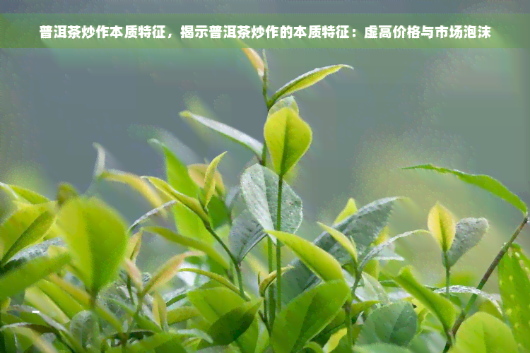 普洱茶炒作本质特征，揭示普洱茶炒作的本质特征：虚高价格与市场泡沫