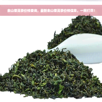 金山普洱茶价格查询，最新金山普洱茶价格信息，一网打尽！