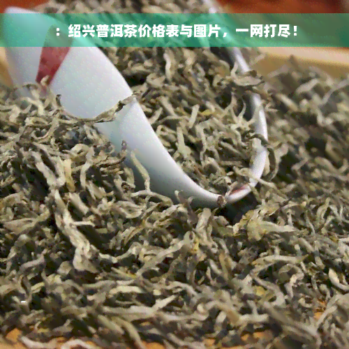 ：绍兴普洱茶价格表与图片，一网打尽！