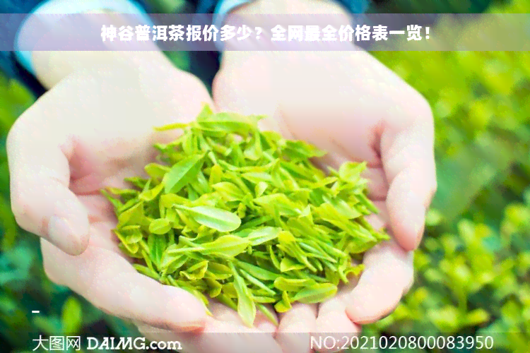 神谷普洱茶报价多少？全网最全价格表一览！