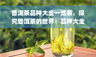 普洱茶品种大全一览表，探究普洱茶的世界：品种大全一览表