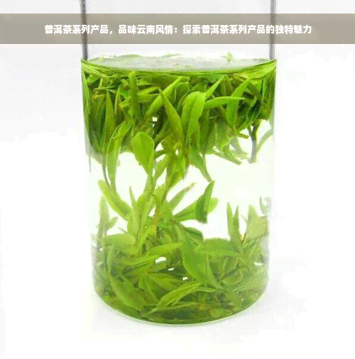 普洱茶系列产品，品味云南风情：探索普洱茶系列产品的独特魅力