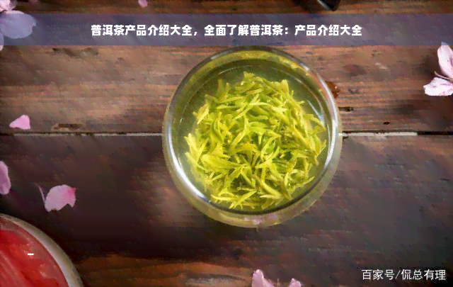 普洱茶产品介绍大全，全面了解普洱茶：产品介绍大全