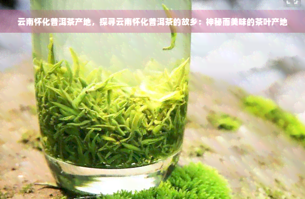 云南怀化普洱茶产地，探寻云南怀化普洱茶的故乡：神秘而美味的茶叶产地