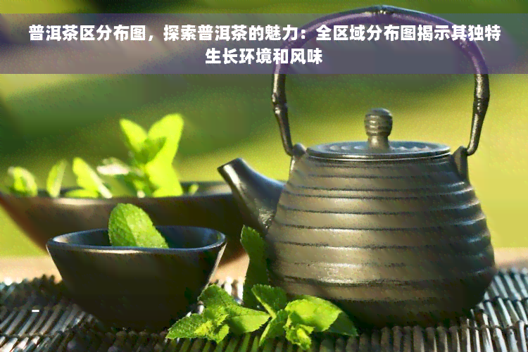 普洱茶区分布图，探索普洱茶的魅力：全区域分布图揭示其独特生长环境和风味