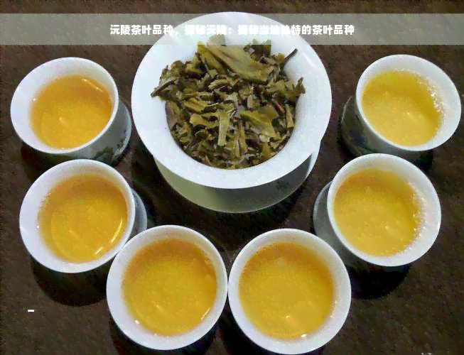 沅陵茶叶品种，探秘沅陵：揭秘当地独特的茶叶品种