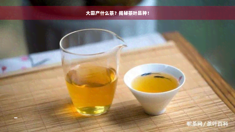 大田产什么茶？揭秘茶叶品种！