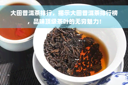 大田普洱茶排行，揭示大田普洱茶排行榜，品味顶级茶叶的无穷魅力！