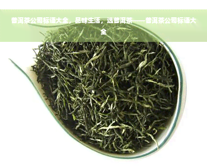 普洱茶公司标语大全，品味生活，选普洱茶——普洱茶公司标语大全