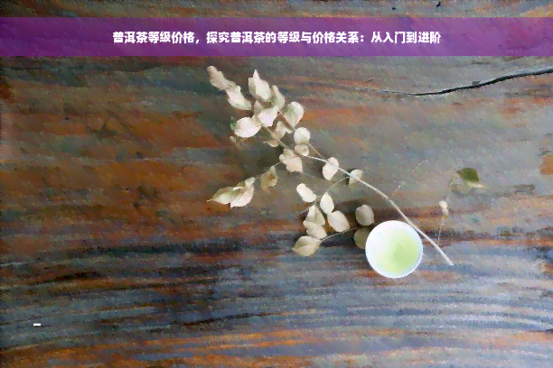 普洱茶等级价格，探究普洱茶的等级与价格关系：从入门到进阶