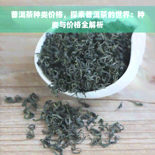 普洱茶种类价格，探索普洱茶的世界：种类与价格全解析