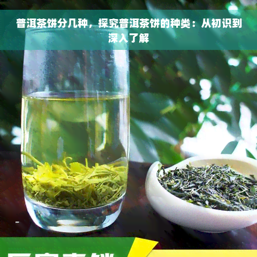 普洱茶饼分几种，探究普洱茶饼的种类：从初识到深入了解