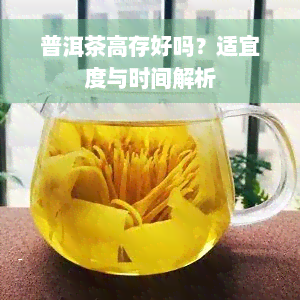 普洱茶高存好吗？适宜度与时间解析