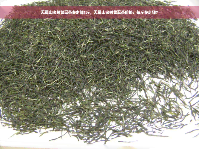 无量山老树普洱茶多少钱1斤，无量山老树普洱茶价格：每斤多少钱？