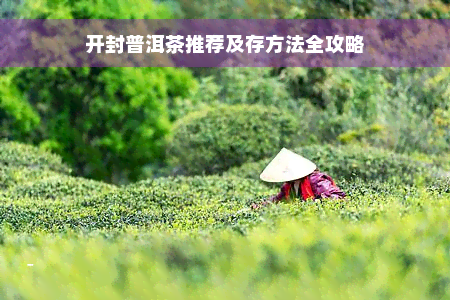 开封普洱茶推荐及存方法全攻略