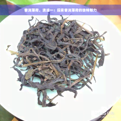 普洱薄荷，清凉一：探索普洱薄荷的独特魅力