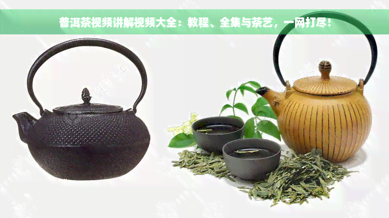 普洱茶视频讲解视频大全：教程、全集与茶艺，一网打尽！