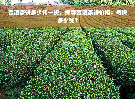 普洱茶饼多少钱一块，探寻普洱茶饼价格：每块多少钱？