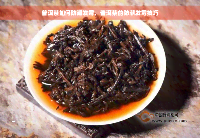 普洱茶如何防潮发霉，普洱茶的防潮发霉技巧