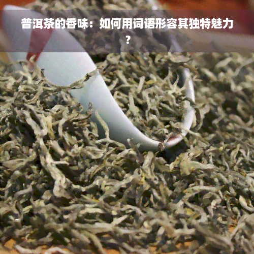 普洱茶的香味：如何用词语形容其独特魅力？