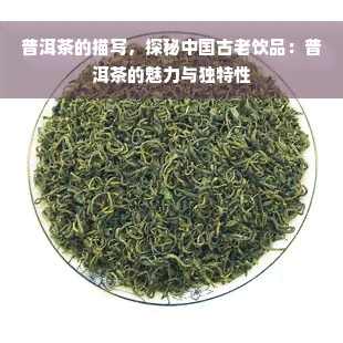 普洱茶的描写，探秘中国古老饮品：普洱茶的魅力与独特性