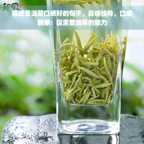 描述普洱茶口感好的句子，品味独特，口感醇厚：探索普洱茶的魅力