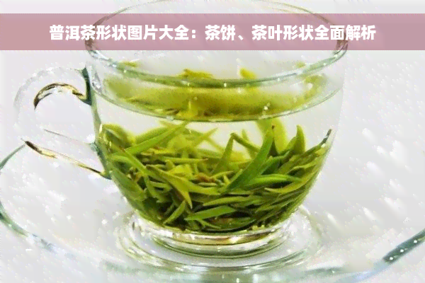 普洱茶形状图片大全：茶饼、茶叶形状全面解析