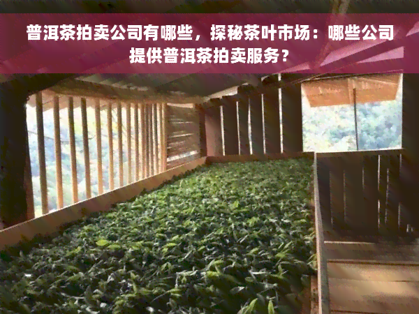 普洱茶拍卖公司有哪些，探秘茶叶市场：哪些公司提供普洱茶拍卖服务？