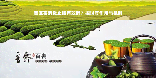 普洱茶消炎止咳有效吗？探讨其作用与机制