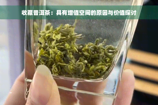 收藏普洱茶：具有增值空间的原因与价值探讨