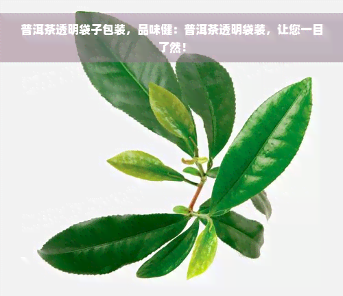 普洱茶透明袋子包装，品味健：普洱茶透明袋装，让您一目了然！