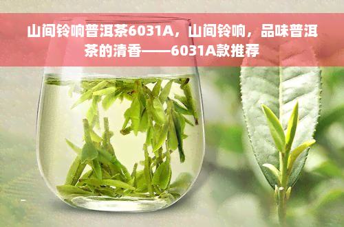 山间铃响普洱茶6031A，山间铃响，品味普洱茶的清香——6031A款推荐