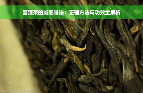 普洱茶的减肥喝法：正确方法与功效全解析