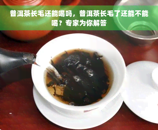 普洱茶长毛还能喝吗，普洱茶长毛了还能不能喝？专家为你解答