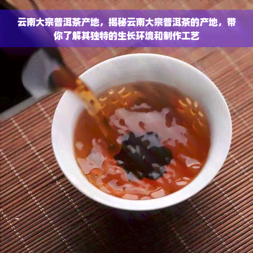 云南大宗普洱茶产地，揭秘云南大宗普洱茶的产地，带你了解其独特的生长环境和制作工艺