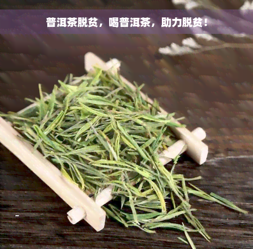 普洱茶脱贫，喝普洱茶，助力脱贫！