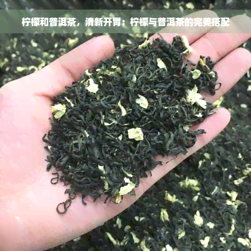 柠檬和普洱茶，清新开胃：柠檬与普洱茶的完美搭配