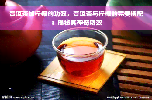 普洱茶加柠檬的功效，普洱茶与柠檬的完美搭配：揭秘其神奇功效