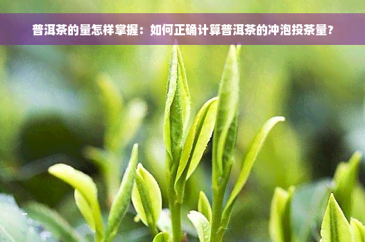 普洱茶的量怎样掌握：如何正确计算普洱茶的冲泡投茶量？