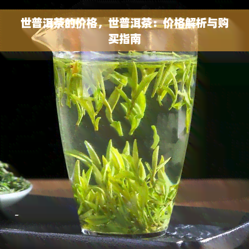 世普洱茶的价格，世普洱茶：价格解析与购买指南