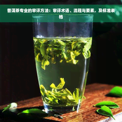 普洱茶专业的审评方法：审评术语、流程与要素，及标准表格