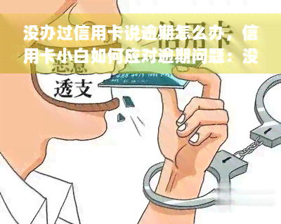 没办过信用卡说逾期怎么办，信用卡小白如何应对逾期问题：没办过信用卡说逾期怎么办？