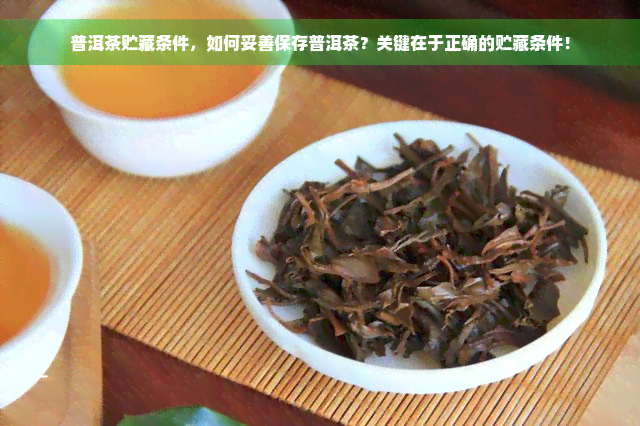 普洱茶贮藏条件，如何妥善保存普洱茶？关键在于正确的贮藏条件！