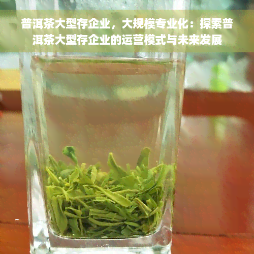 普洱茶大型存企业，大规模专业化：探索普洱茶大型存企业的运营模式与未来发展