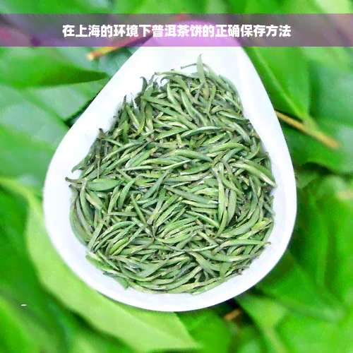 在上海的环境下普洱茶饼的正确保存方法