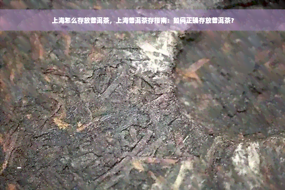 上海怎么存放普洱茶，上海普洱茶存指南：如何正确存放普洱茶？