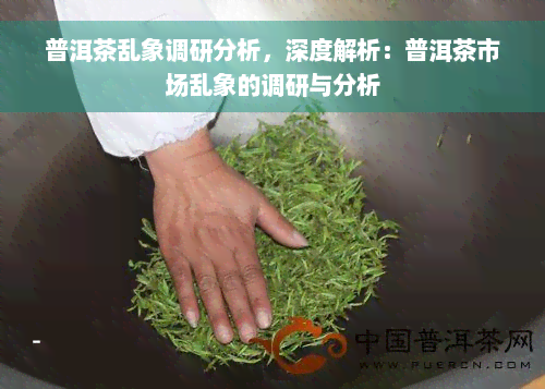 普洱茶乱象调研分析，深度解析：普洱茶市场乱象的调研与分析