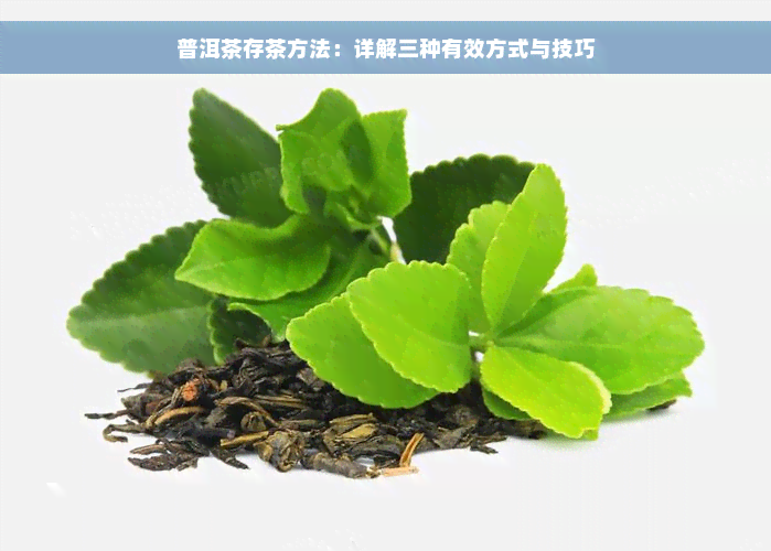 普洱茶存茶方法：详解三种有效方式与技巧